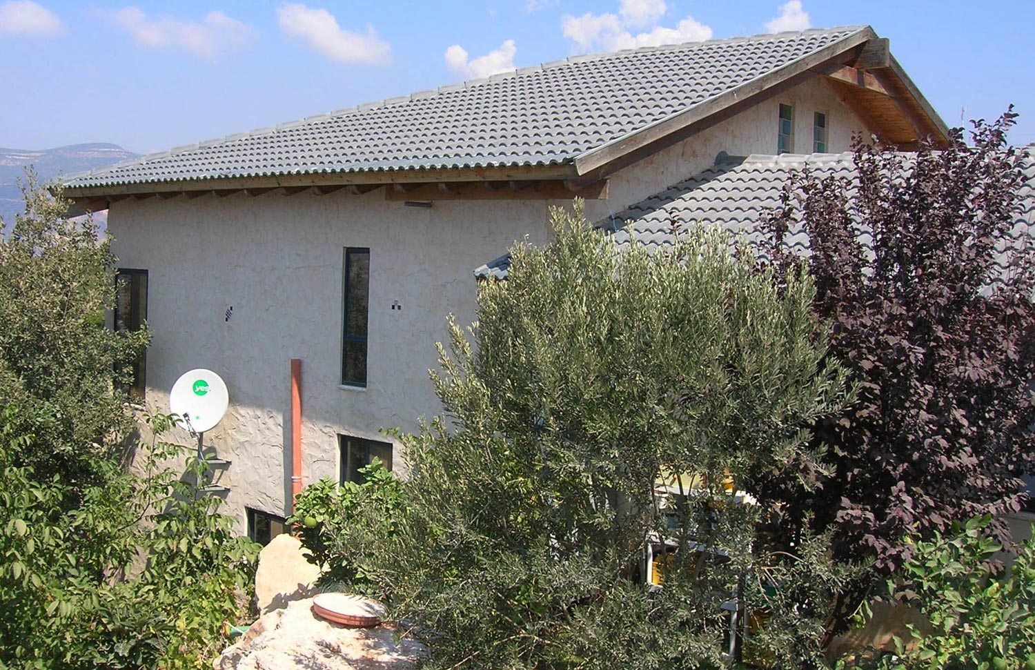 תמרת 2005 - טיח מינרלי +צבע