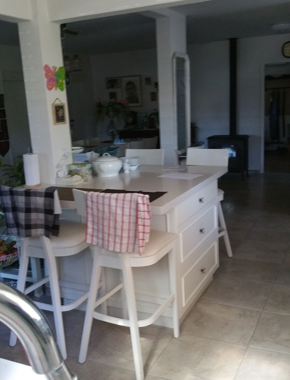 משפחת לניר מולדת - 2013